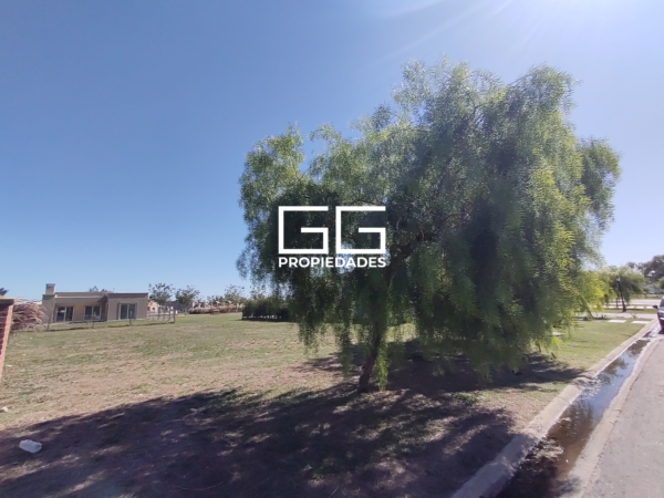 San Ramon Al 100 - Pilar Del Este - Imagen 3