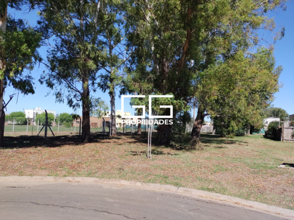 San Ramon Al 100 - Pilar Del Este