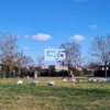 Golf Al 200 - El Cantón - Imagen 4